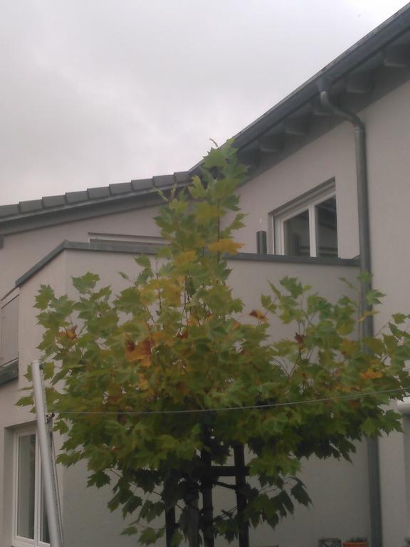 Ferienwohnung Zum Kletterturm Kaufbeuren Ngoại thất bức ảnh